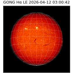 gong - 2026-04-12T03:00:42