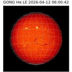 gong - 2026-04-12T06:00:42