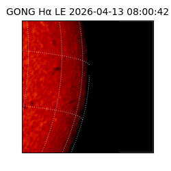 gong - 2026-04-13T08:00:42