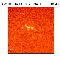 gong - 2026-04-13T06:00:42