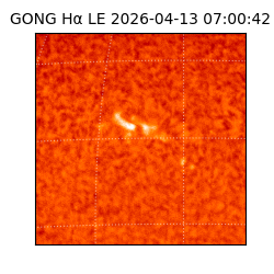 gong - 2026-04-13T07:00:42