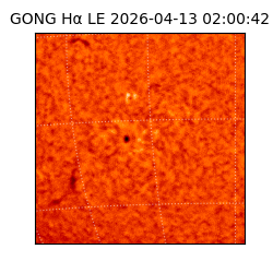 gong - 2026-04-13T02:00:42
