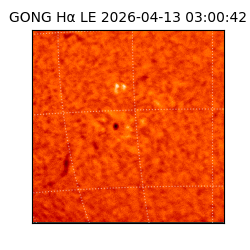 gong - 2026-04-13T03:00:42