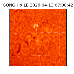 gong - 2026-04-13T07:00:42