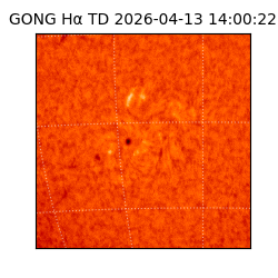 gong - 2026-04-13T14:00:22