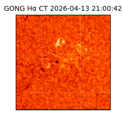 gong - 2026-04-13T21:00:42