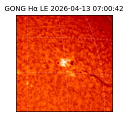 gong - 2026-04-13T07:00:42