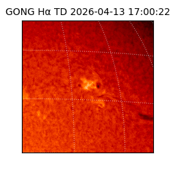 gong - 2026-04-13T17:00:22