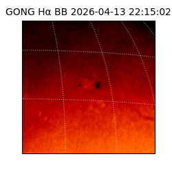 gong - 2026-04-13T22:15:02