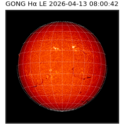 gong - 2026-04-13T08:00:42