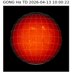 gong - 2026-04-13T10:00:22