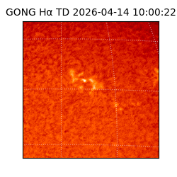 gong - 2026-04-14T10:00:22