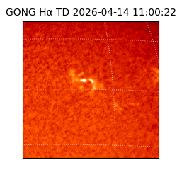 gong - 2026-04-14T11:00:22