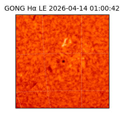 gong - 2026-04-14T01:00:42