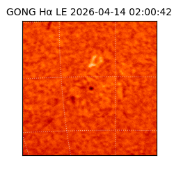 gong - 2026-04-14T02:00:42