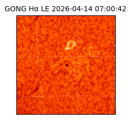 gong - 2026-04-14T07:00:42