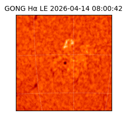 gong - 2026-04-14T08:00:42