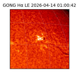 gong - 2026-04-14T01:00:42