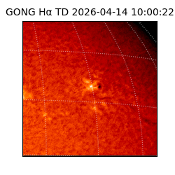 gong - 2026-04-14T10:00:22