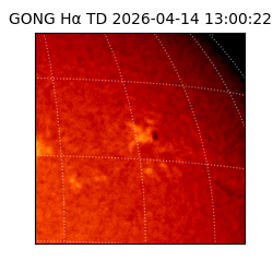 gong - 2026-04-14T13:00:22