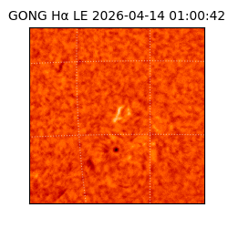 gong - 2026-04-14T01:00:42