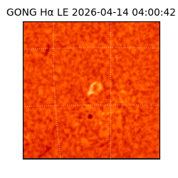gong - 2026-04-14T04:00:42