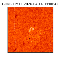 gong - 2026-04-14T09:00:42