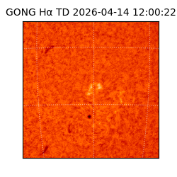 gong - 2026-04-14T12:00:22