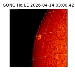 gong - 2026-04-14T03:00:42