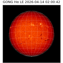 gong - 2026-04-14T02:00:42