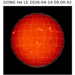 gong - 2026-04-14T09:00:42