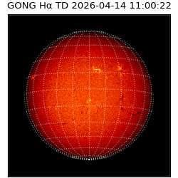 gong - 2026-04-14T11:00:22