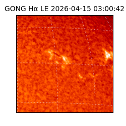 gong - 2026-04-15T03:00:42