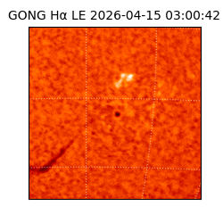 gong - 2026-04-15T03:00:42