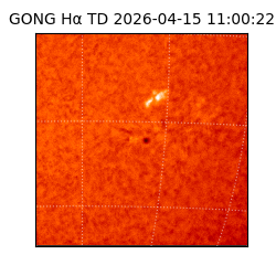 gong - 2026-04-15T11:00:22