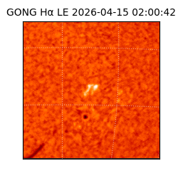 gong - 2026-04-15T02:00:42