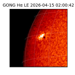 gong - 2026-04-15T02:00:42