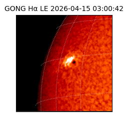 gong - 2026-04-15T03:00:42