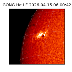 gong - 2026-04-15T06:00:42