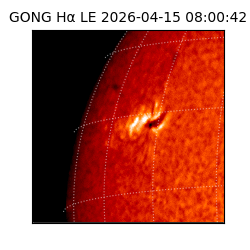 gong - 2026-04-15T08:00:42