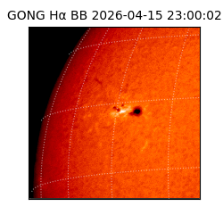 gong - 2026-04-15T23:00:02