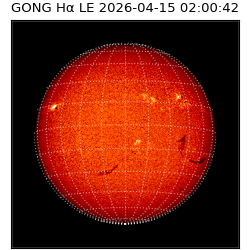 gong - 2026-04-15T02:00:42