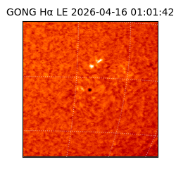 gong - 2026-04-16T01:01:42
