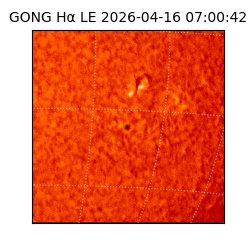 gong - 2026-04-16T07:00:42