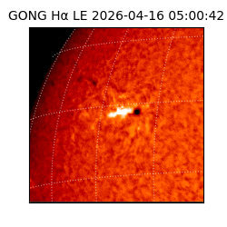 gong - 2026-04-16T05:00:42