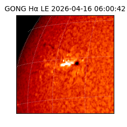 gong - 2026-04-16T06:00:42