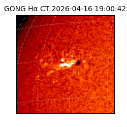 gong - 2026-04-16T19:00:42