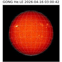 gong - 2026-04-16T03:00:42