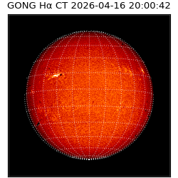gong - 2026-04-16T20:00:42