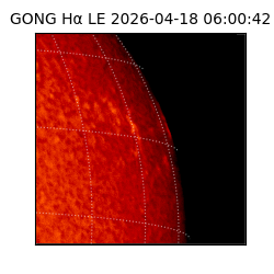 gong - 2026-04-18T06:00:42